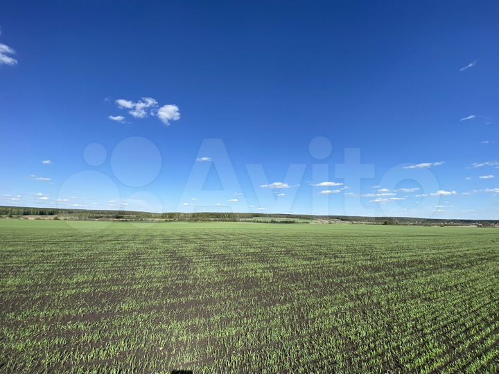 Участок 6 сот. (ИЖС)