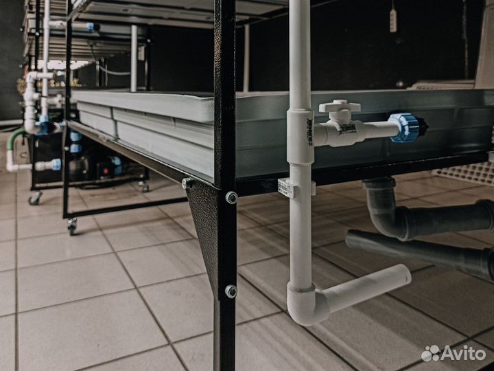 Аэропоника. Фитоосвещение. Reogen sys