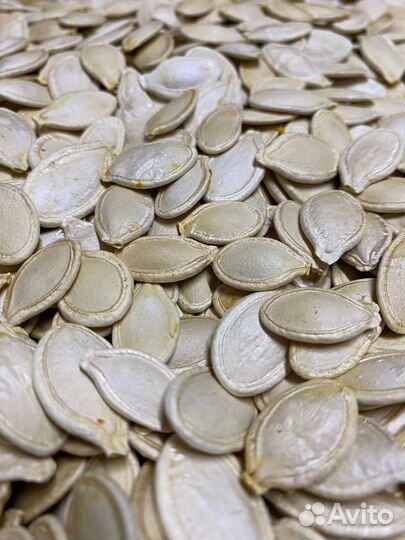 Тыквенные семечки