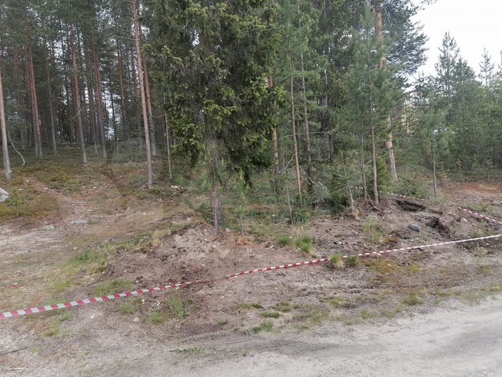 Участок 5,3 сот. (СНТ, ДНП)