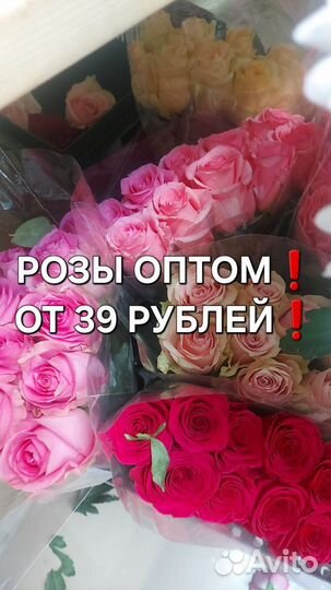 Розы опт Новочеркасск