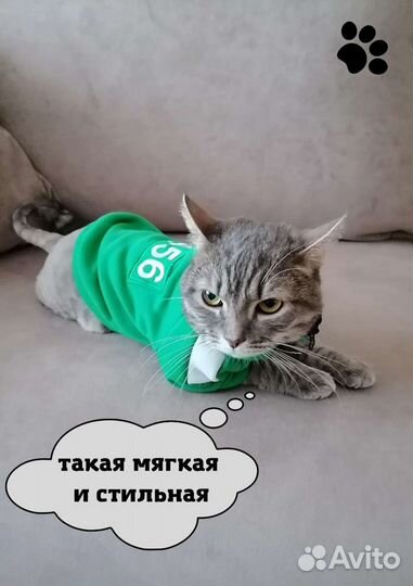 Толстовка для собак Одежда для маленьких и средних