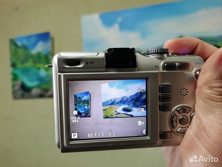 Компактный фотоаппарат olympus E-PL1