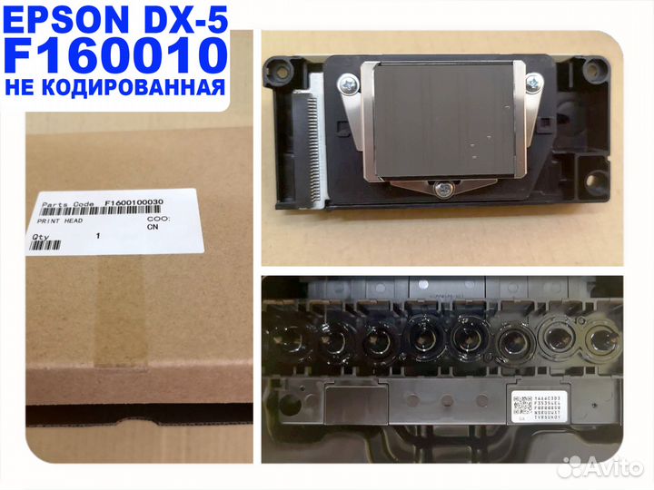 Epson dx5 F186000, F187000, F160010, Fa24010