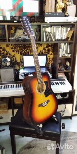 Двенадцатиструнная электроакустика