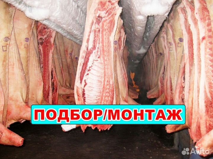 Холодильное оборудование под мясо