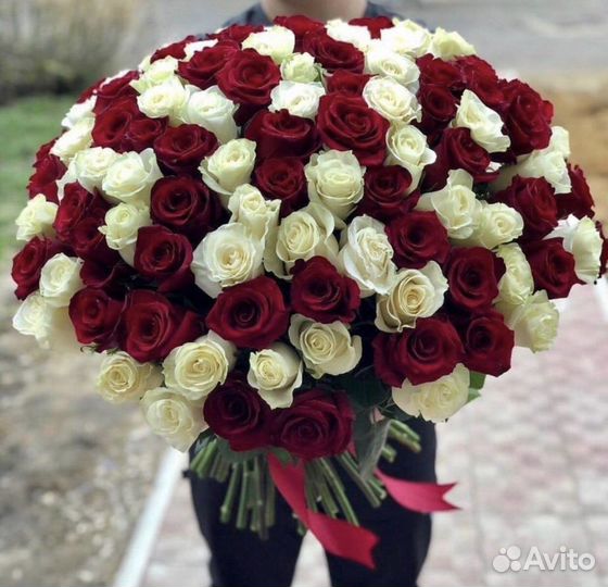 Розы Эквадор