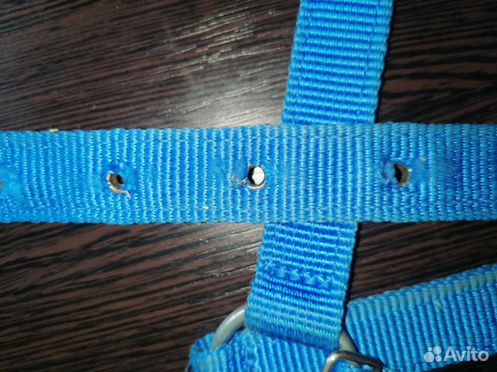 Недоуздок для лошади