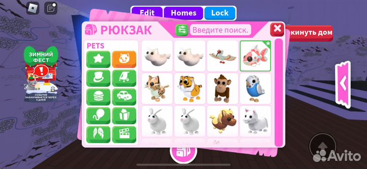 Пэты в адопт ми (также транспорт и тд )