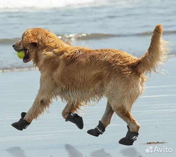 Резиновая водонепроницаемая обувь собак и кошек