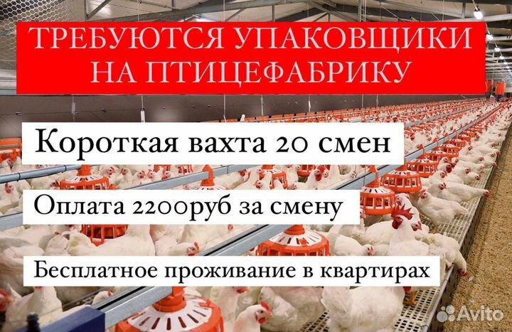 Короткая вахта 20 смен,упаковщики Тульская область