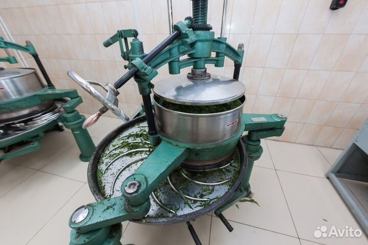 Мама-Карелия