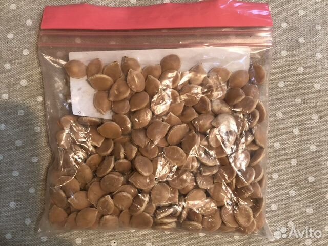 Семена тыквы розовый банан