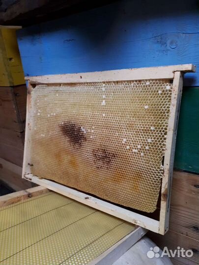 Рамки с сушью вощиной