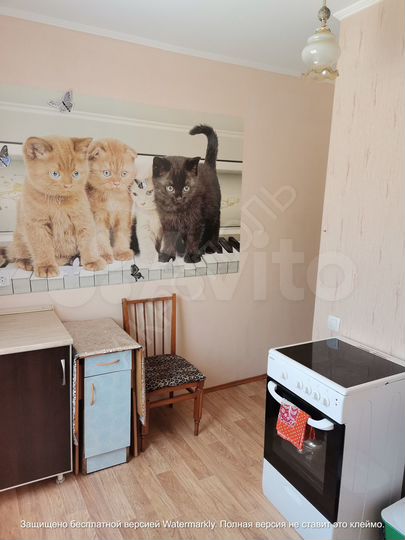 Квартира-студия, 23 м², 1/5 эт.