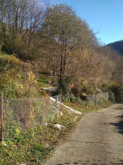 Участок 12 сот. (СНТ, ДНП)