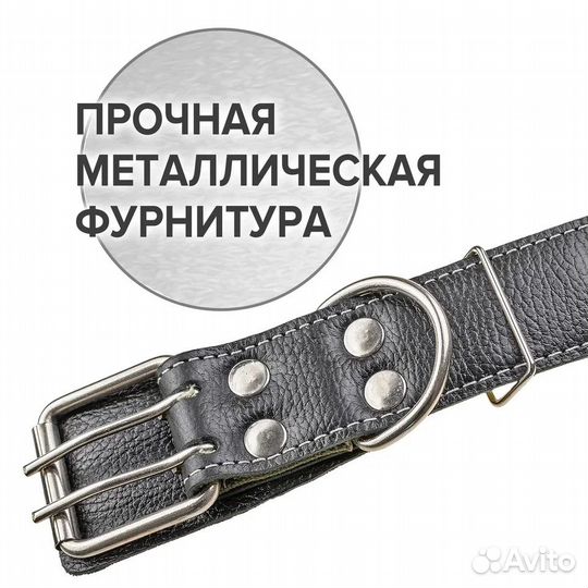 Ошейник для собак (для Алабая)