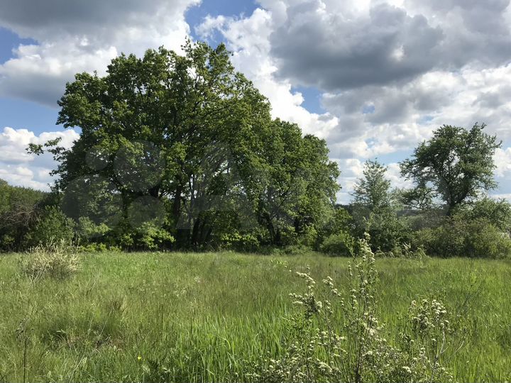 Участок 15 сот. (ИЖС)