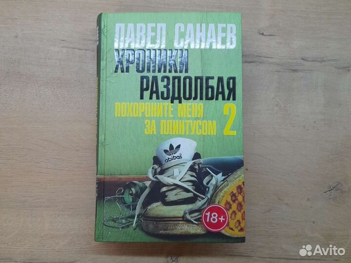 Павел Санаев Хроники раздолбая