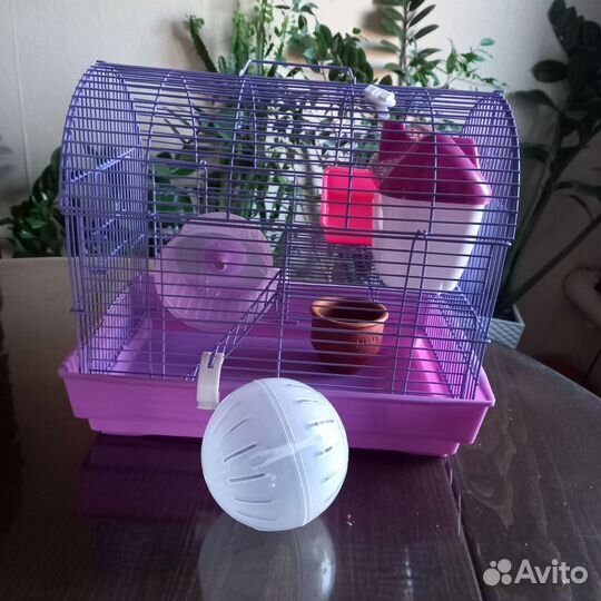 Клетка для джунгарского хомяка