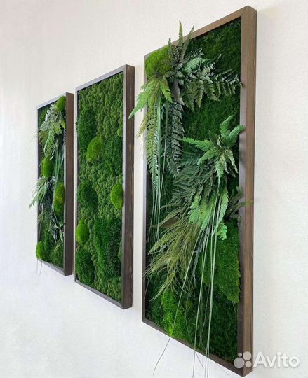 Мох стабилизированный фитокартина панно из мха