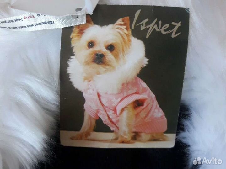 Комбинезон, ошейник, лежанка, рулетка