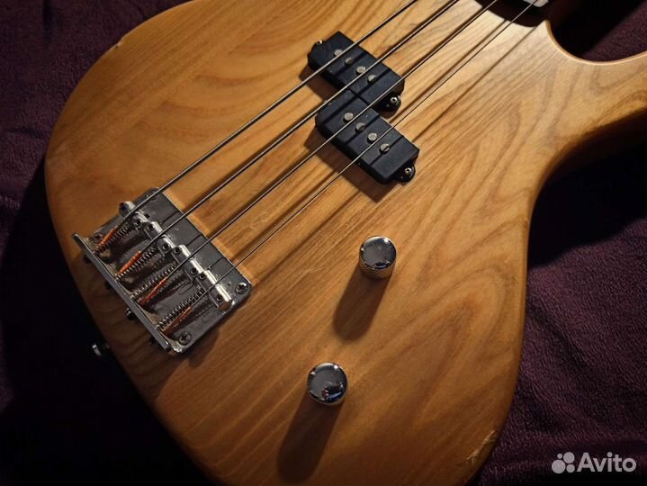 Washburn Bass XB100