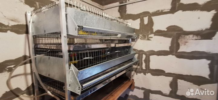 Продам клетку для перепелов