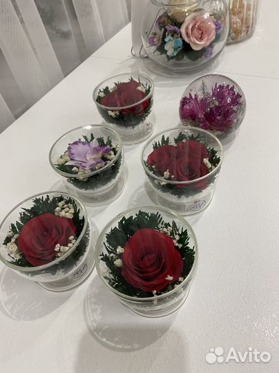 Живые цветы в стекле