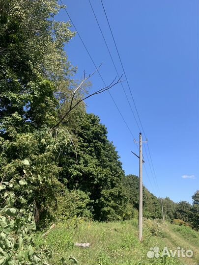 Вальщик леса