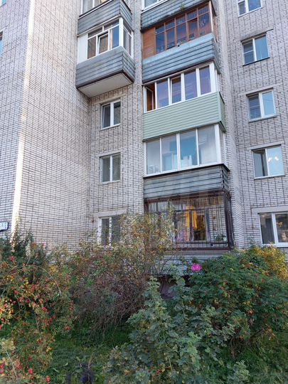 1-к. квартира, 44,3 м², 2/5 эт.