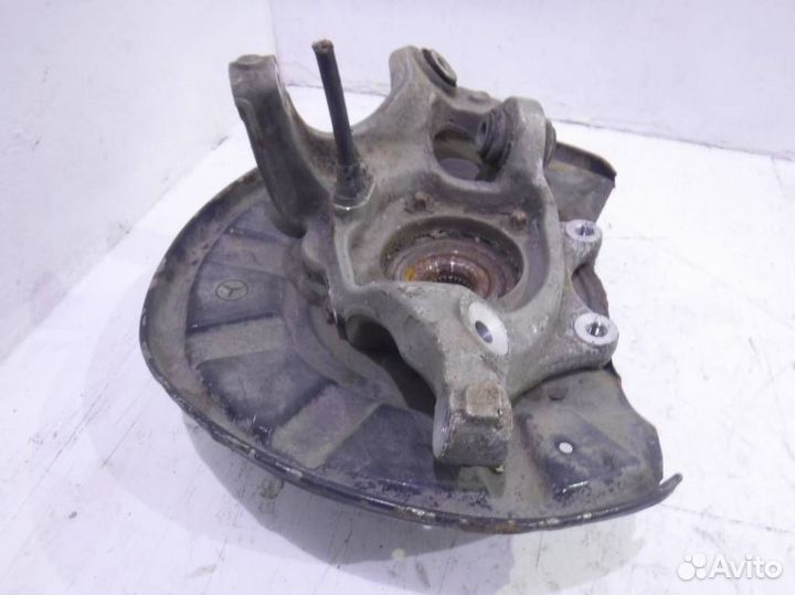 Кулак задний левый