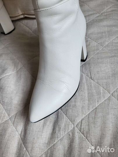 Сапоги кожаные Thomas Munz