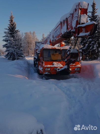 Сдам в аренду автокран