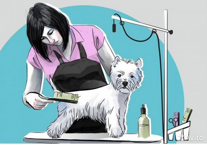 Стрижка собак. Груминг