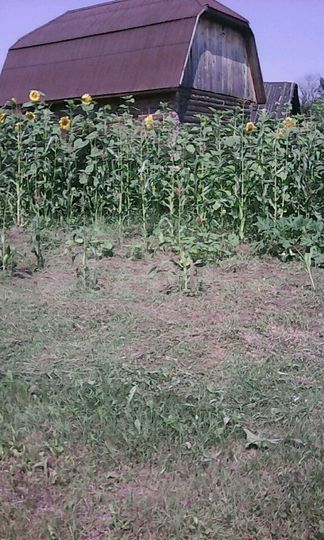 Дом 54 м² на участке 25 сот.