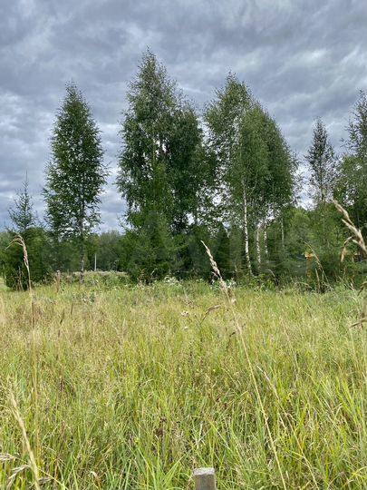 Участок 9,6 сот. (ИЖС)