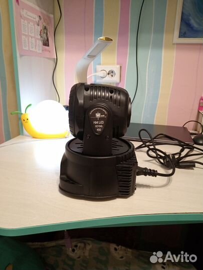 Светавые головы