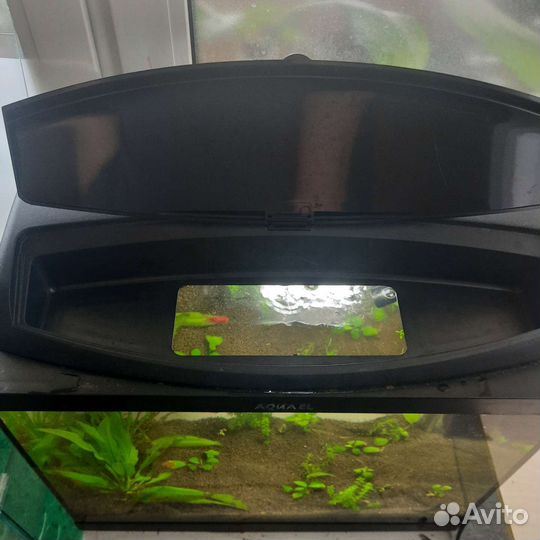Аквариум с рыбками