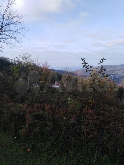 Участок 5 сот. (СНТ, ДНП)