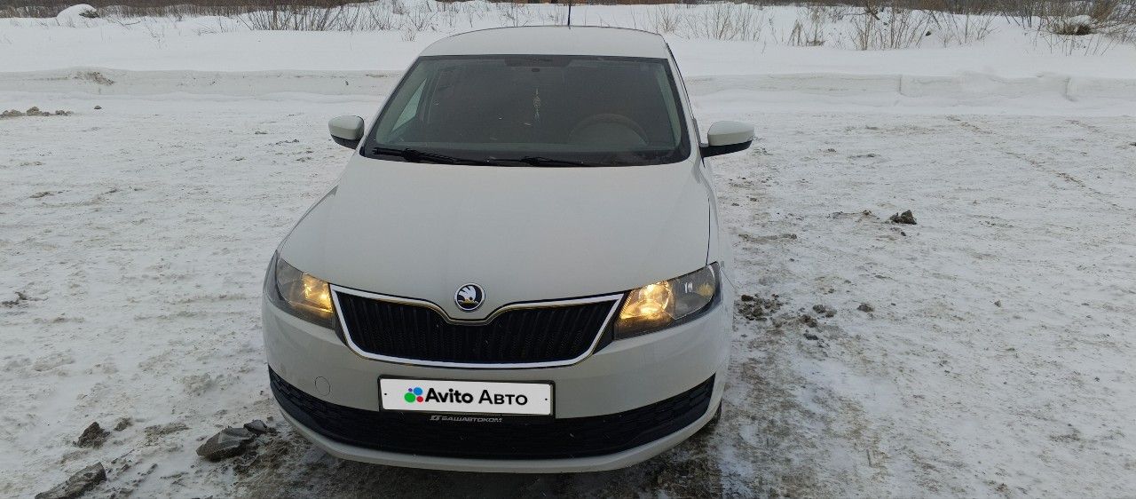 Skoda Rapid: фото владельца