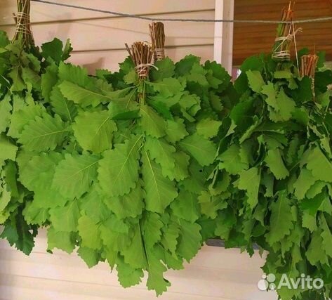 Веники банные