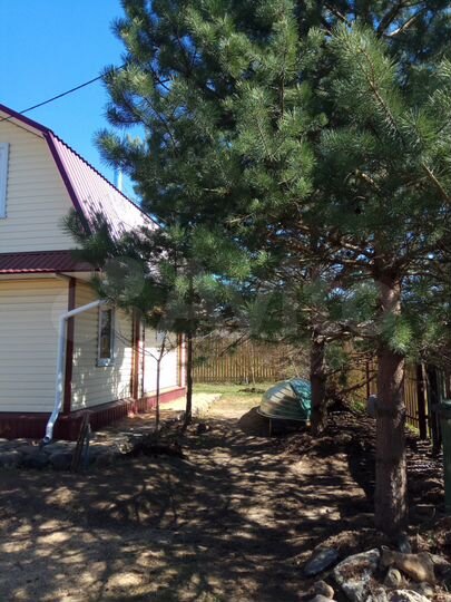 Дом 65 м² на участке 5 сот.