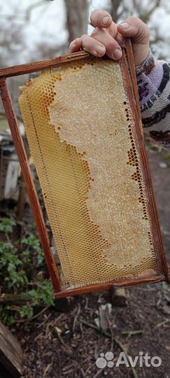 Рамки с сушью