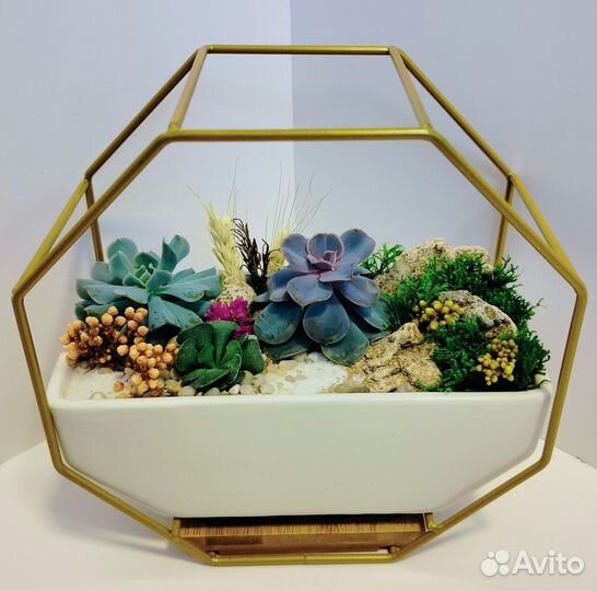 Флорариум с живыми цветами, подарок, декор, цветы