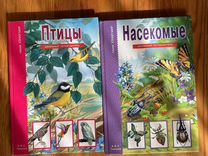 Детские книги про птиц и насекомых