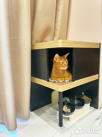 Домик для кошки