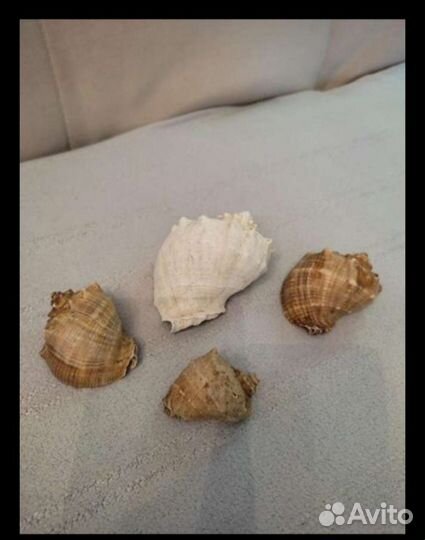 Для аквариума