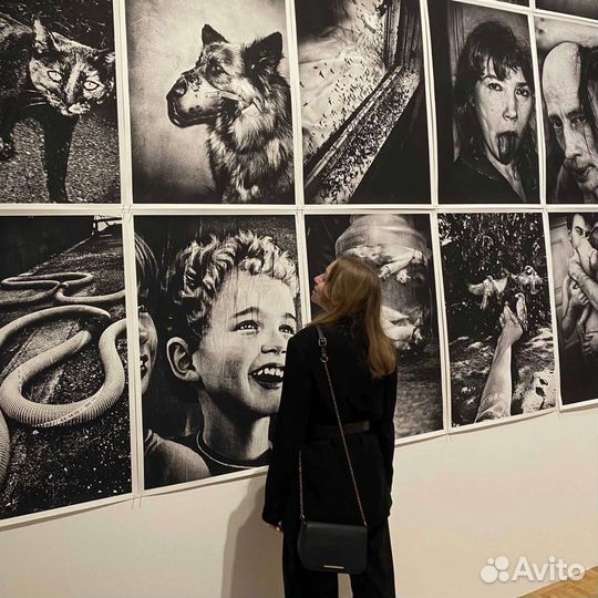 Начинающий фотограф