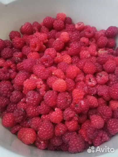 Малина, черная смородина ягоды свежая